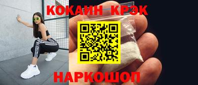 шишки Дубна