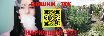 шишки Дубна
