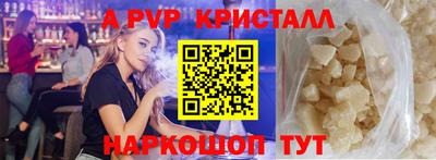 шишки Дубна