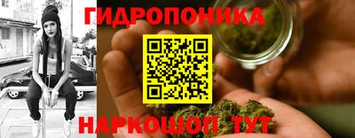 шишки Дубна