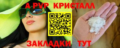 шишки Дубна