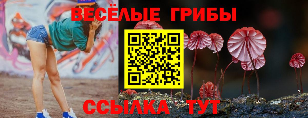 наркошоп  Псилоцибиновые грибы ЛСД  Вход с VPN  Псилоцибиновые грибы прущие грибы  Люберцы 